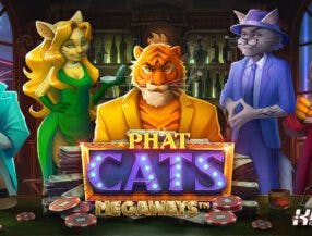 Bônus diários em cassino ao vivo